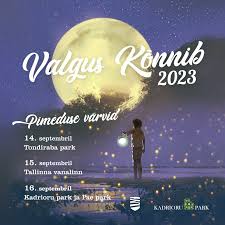 Valgus kõnnib 2024 „Valguse vägi“